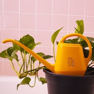 vintage watering can